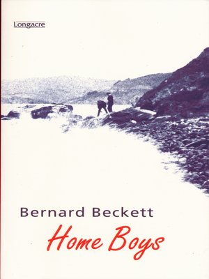 cover image of Home Boys
